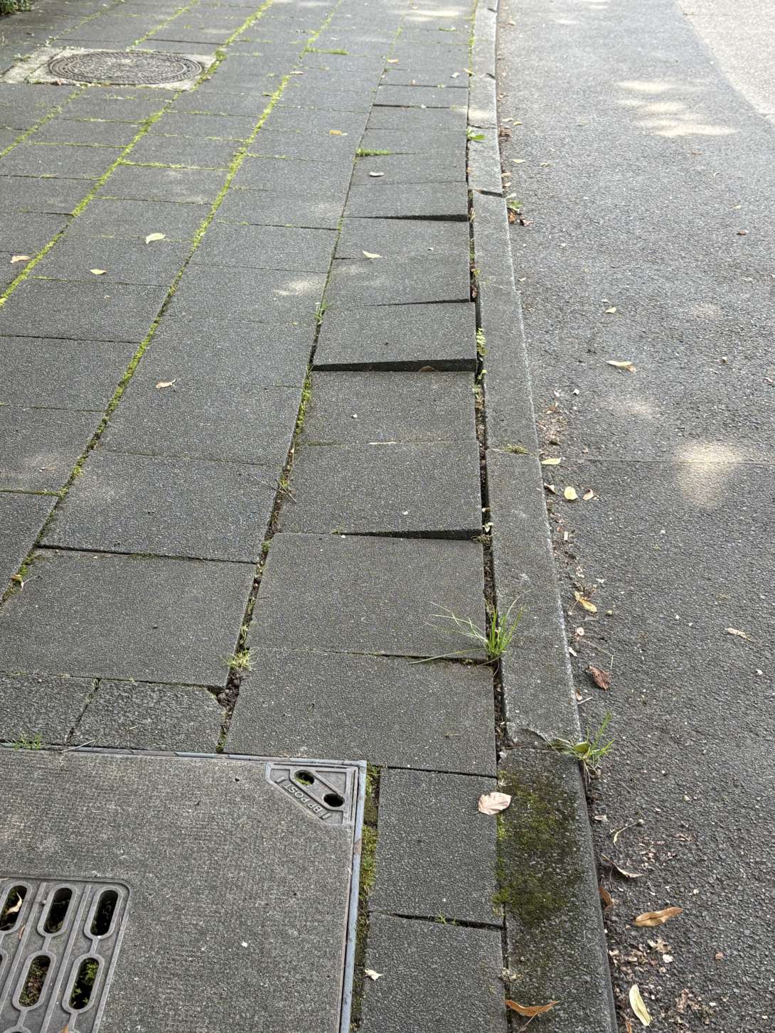 Bild zu gemeldetem Anliegen vom *2025-08-07 13:58:22