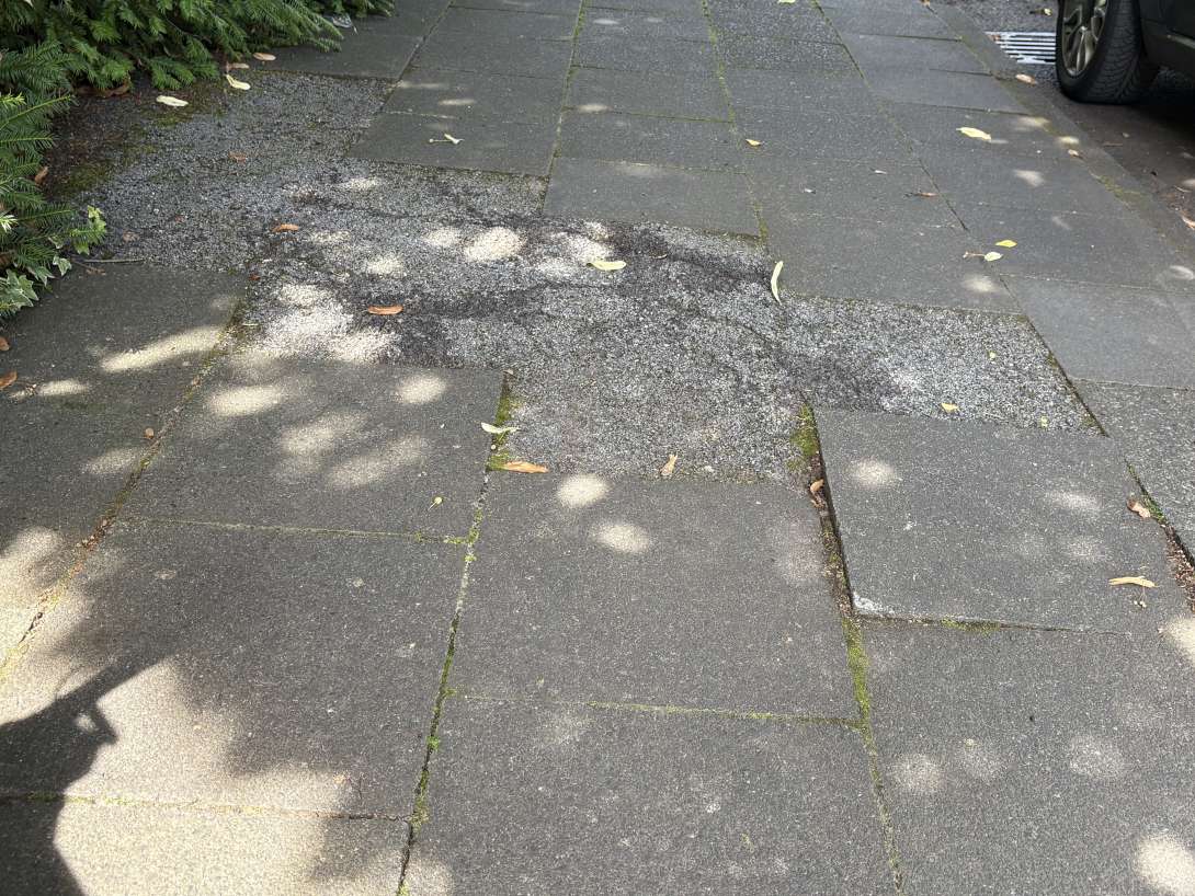 Bild zu gemeldetem Anliegen vom *2025-08-07 14:02:36