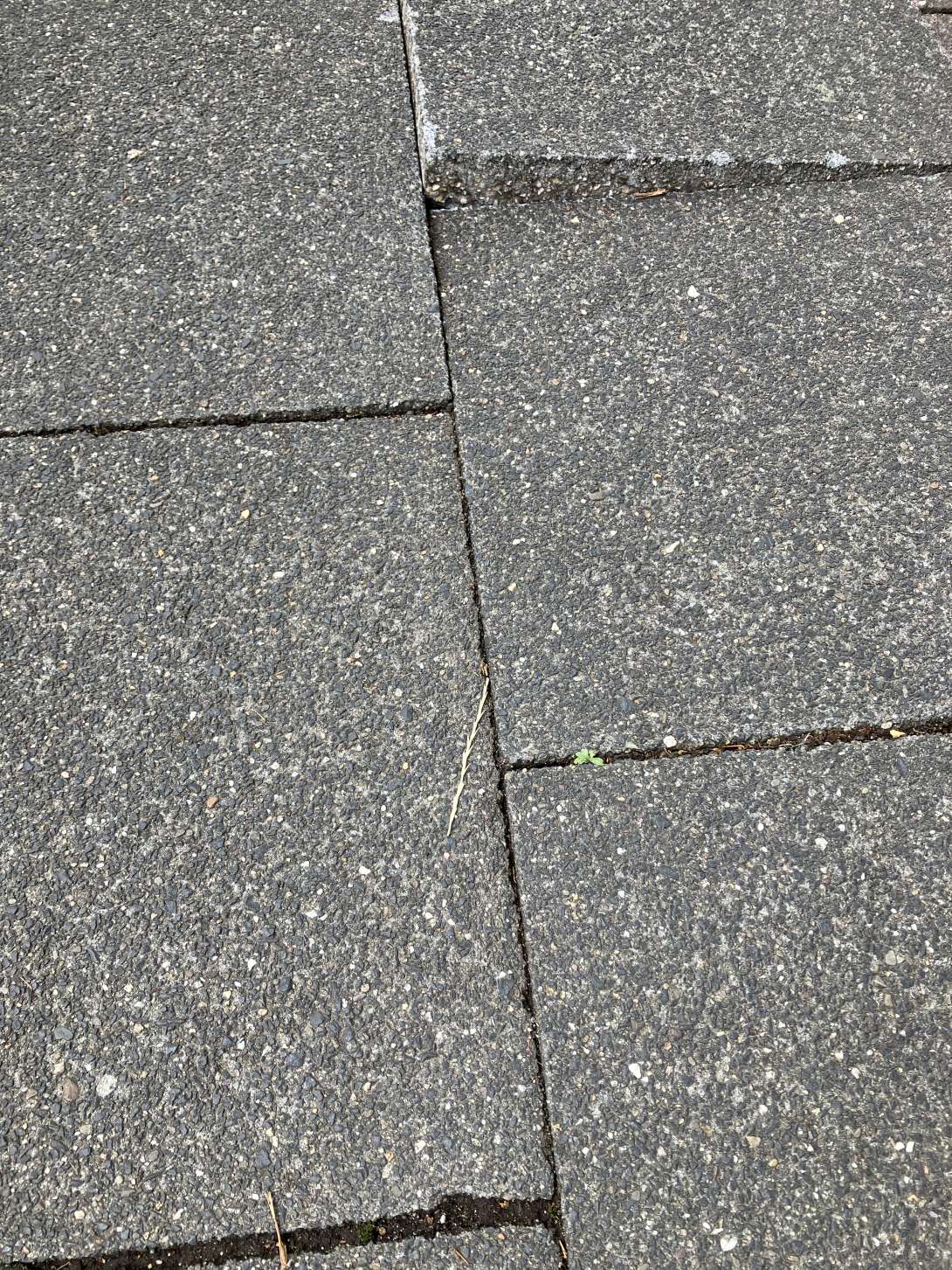 Bild zu gemeldetem Anliegen vom *2025-08-03 21:08:46