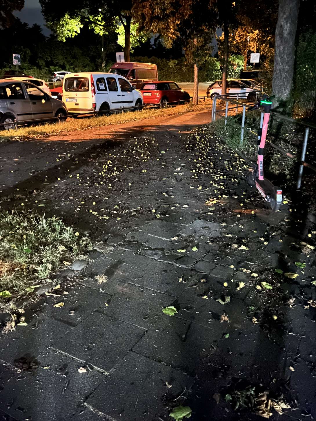 Bild zu gemeldetem Anliegen vom *2025-08-31 22:42:40