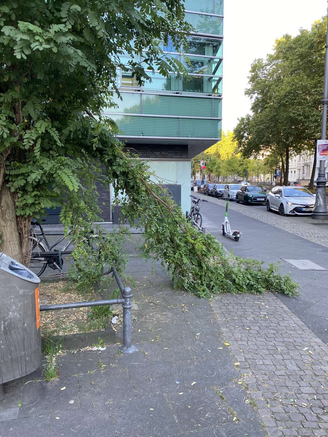 Bild zu gemeldetem Anliegen vom *2025-08-27 18:28:43