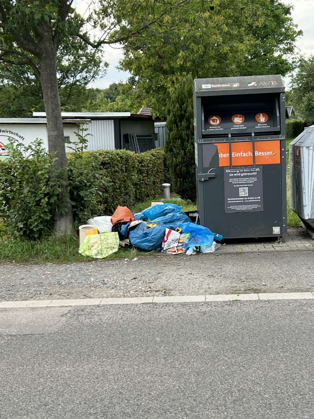 Bild zu gemeldetem Anliegen vom *2025-08-09 11:37:35
