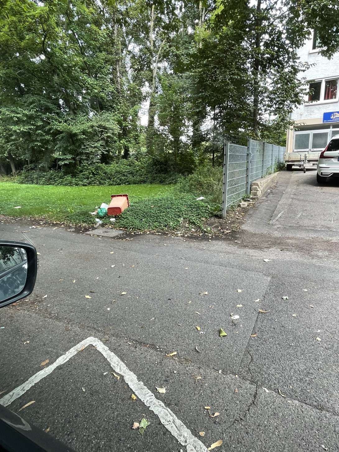 Bild zu gemeldetem Anliegen vom *2025-08-06 17:39:33