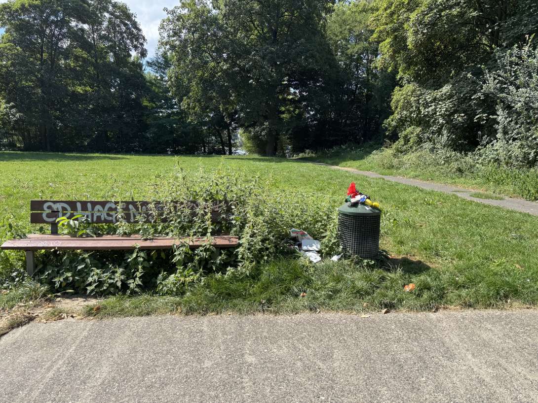 Bild zu gemeldetem Anliegen vom *2025-08-19 13:05:12