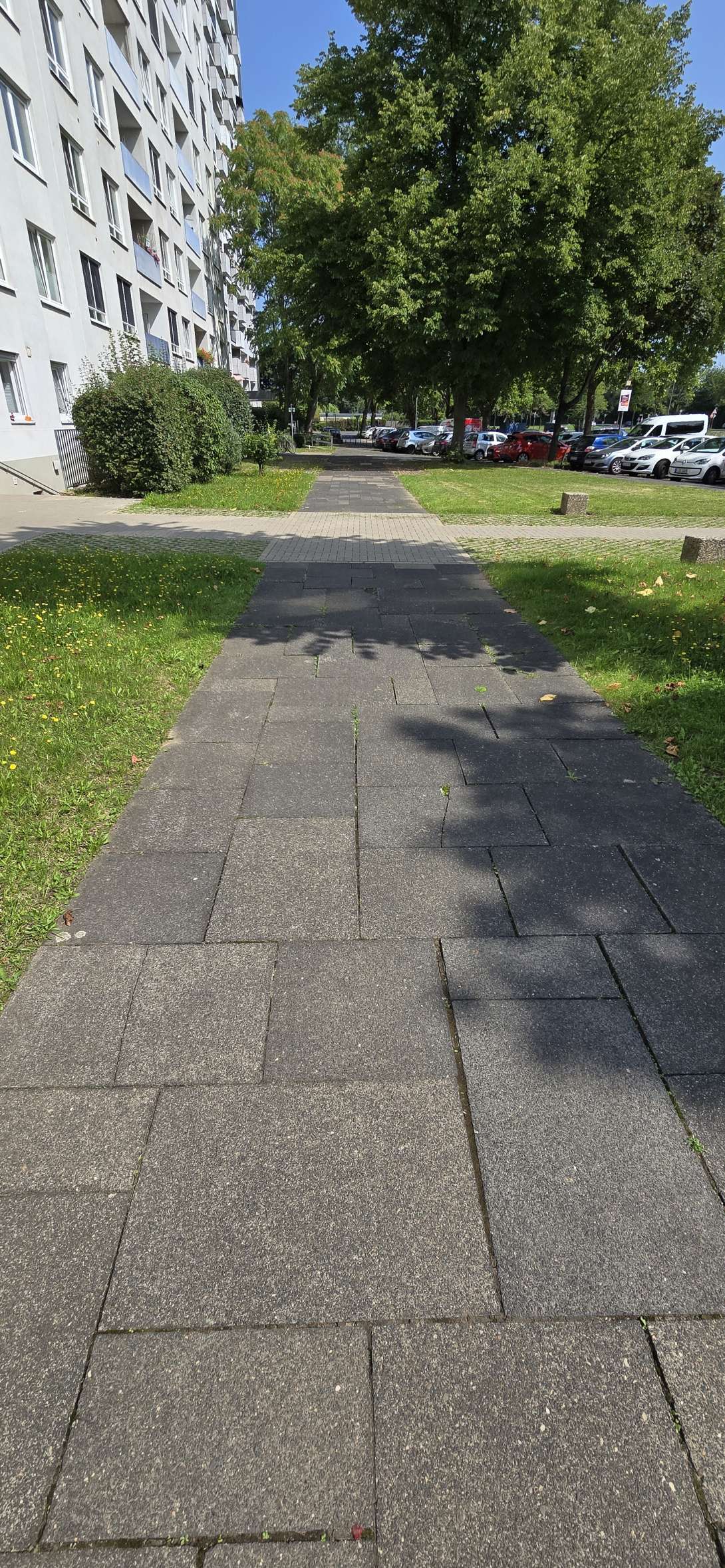 Bild zu gemeldetem Anliegen vom *2025-08-09 09:34:03
