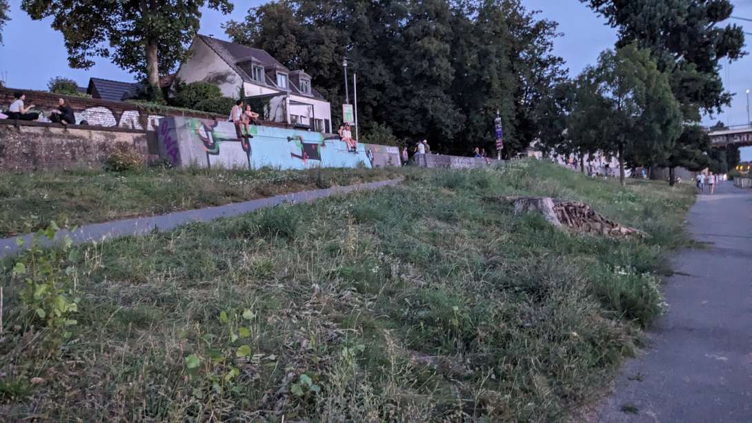 Bild zu gemeldetem Anliegen vom *2025-08-20 00:15:31