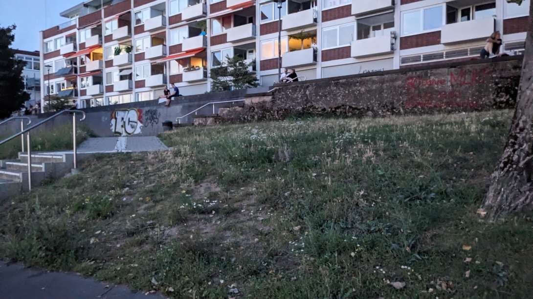 Bild zu gemeldetem Anliegen vom *2025-08-19 23:04:53
