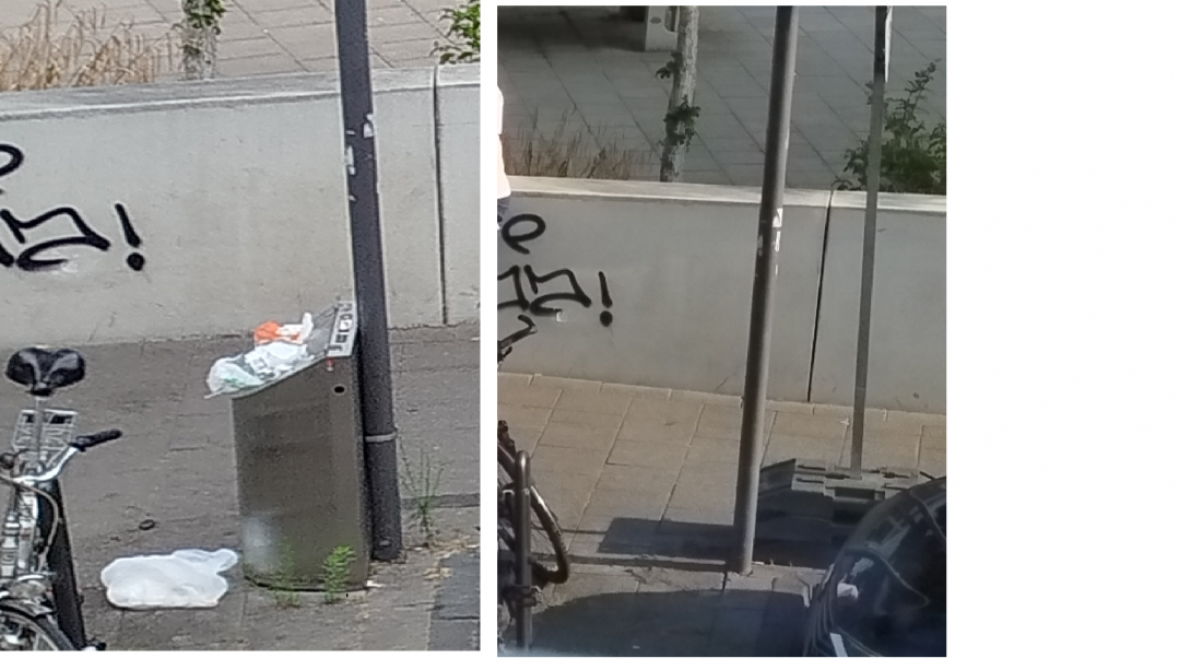 Bild zu gemeldetem Anliegen vom *2025-08-06 15:37:17