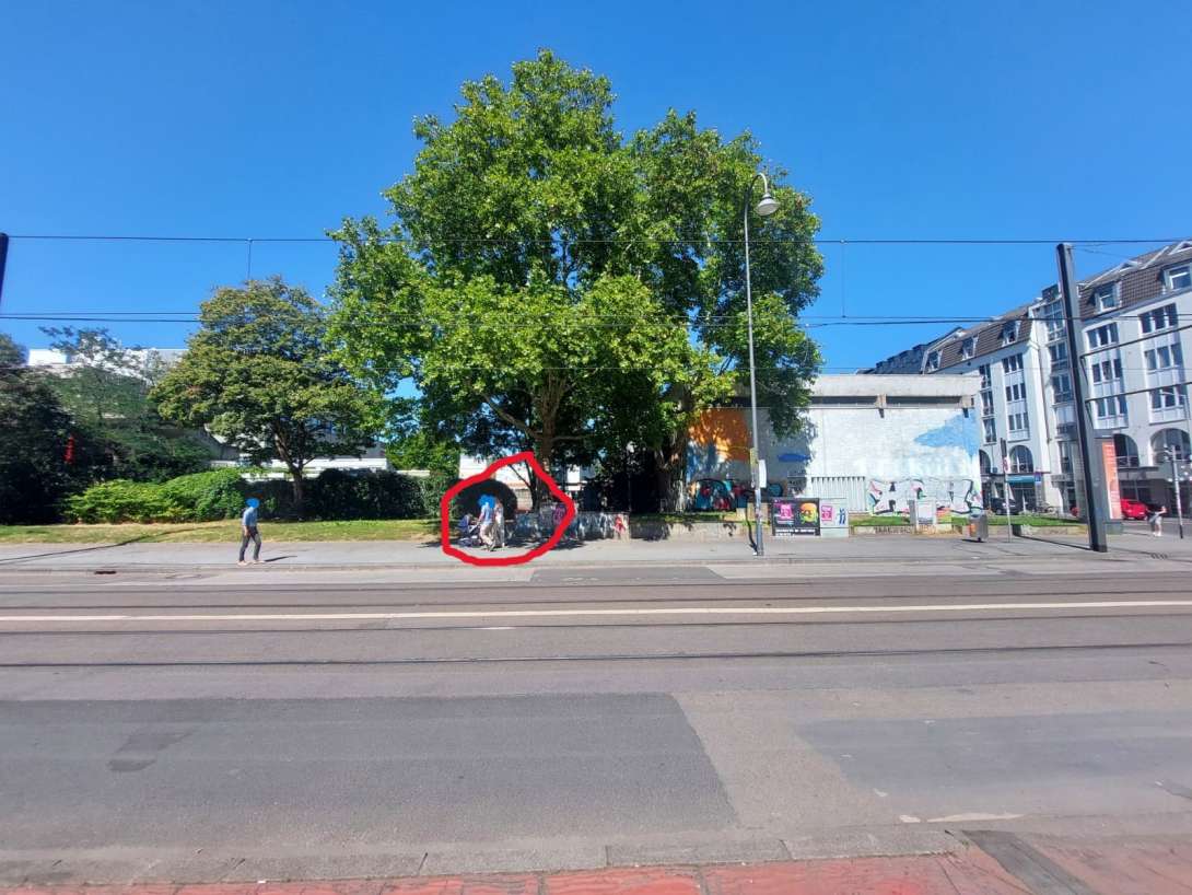 Bild zu gemeldetem Anliegen vom *2025-08-19 14:30:57