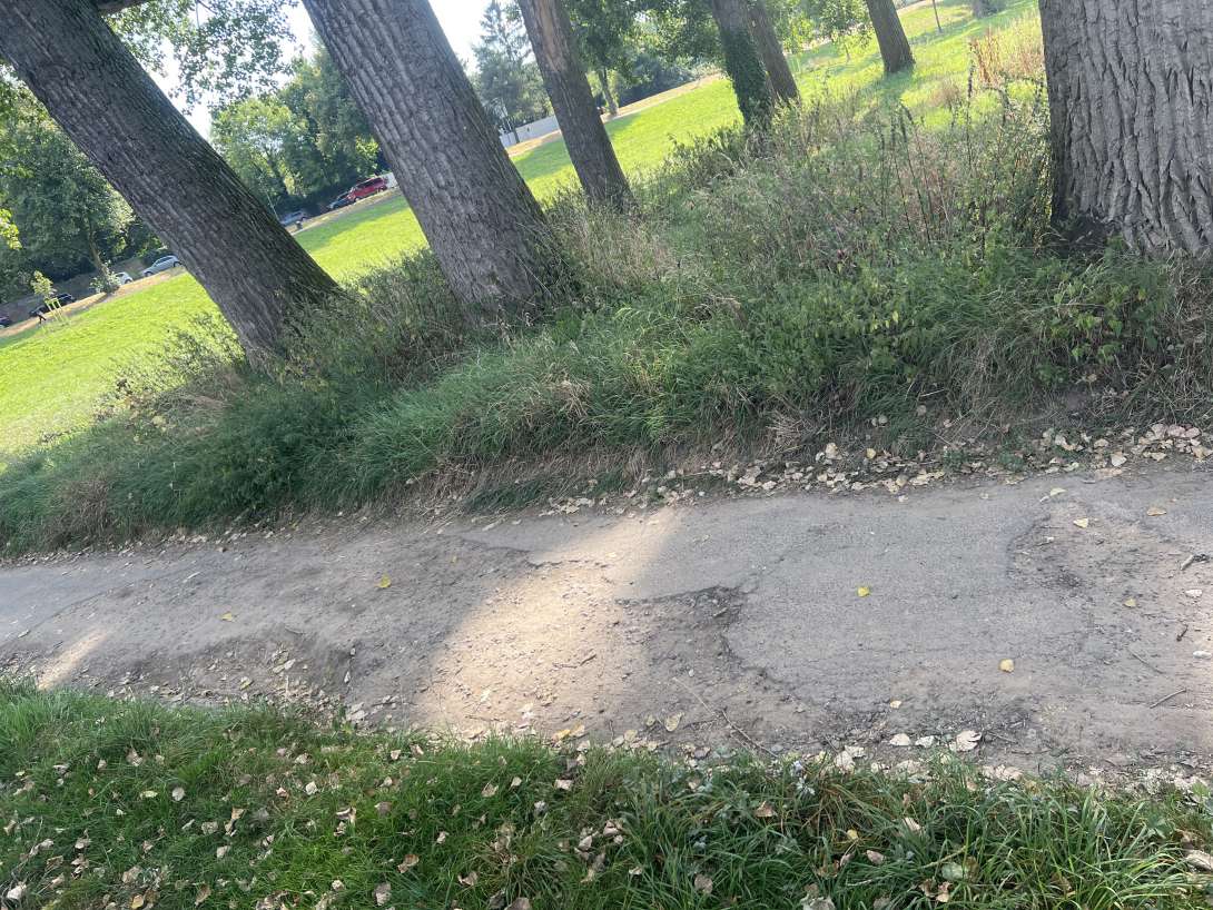 Bild zu gemeldetem Anliegen vom *2025-08-24 16:25:50