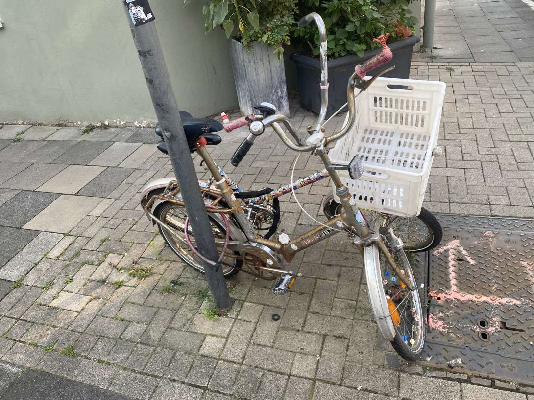 Bild zu gemeldetem Anliegen vom *2025-08-06 08:24:15