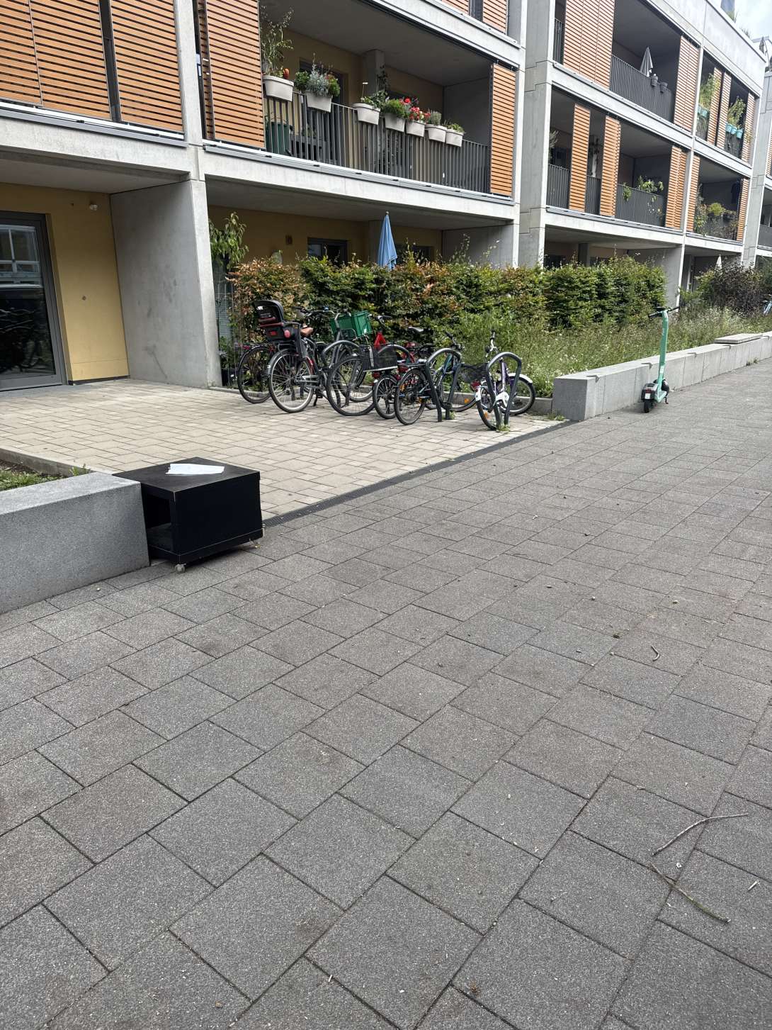 Bild zu gemeldetem Anliegen vom *2025-08-04 12:31:14
