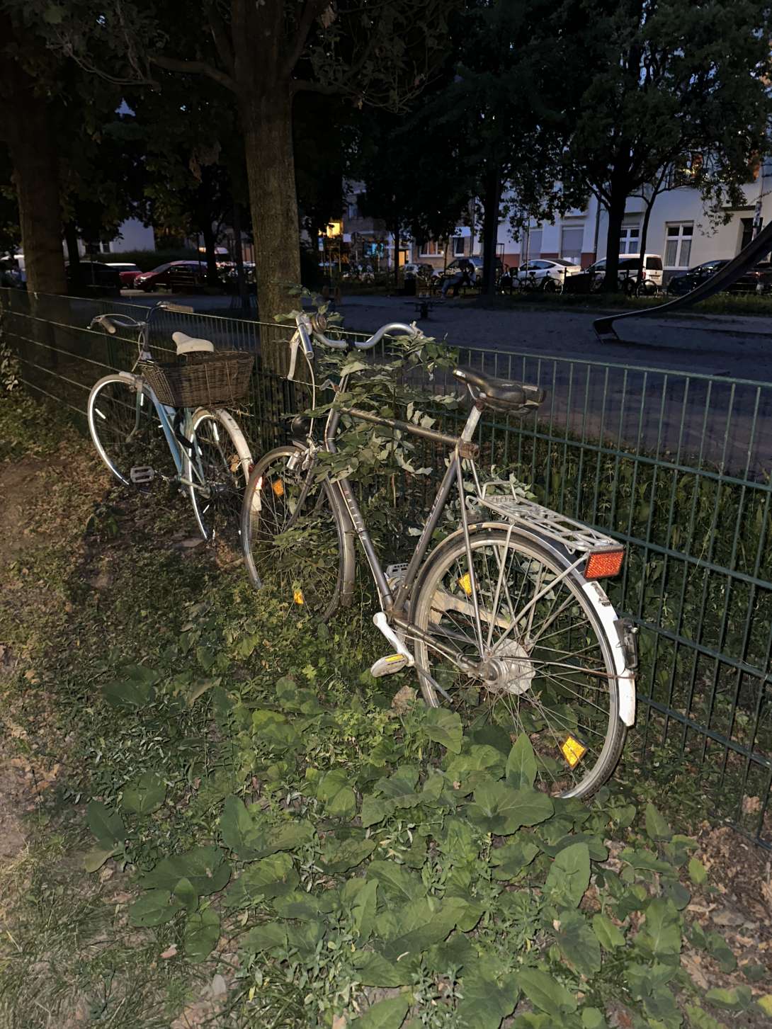 Bild zu gemeldetem Anliegen vom *2025-08-19 21:17:55