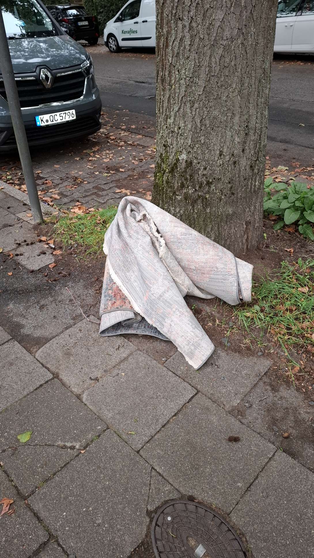 Bild zu gemeldetem Anliegen vom *2025-09-26 08:26:00