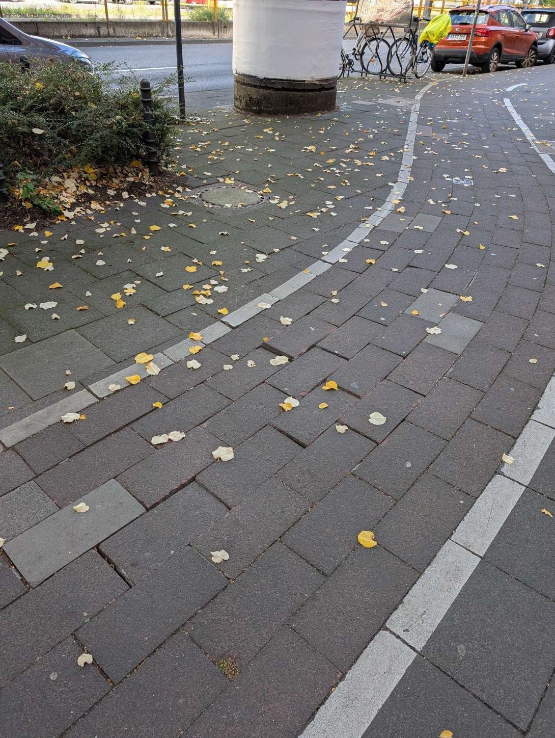 Bild zu gemeldetem Anliegen vom *2025-09-28 13:48:02