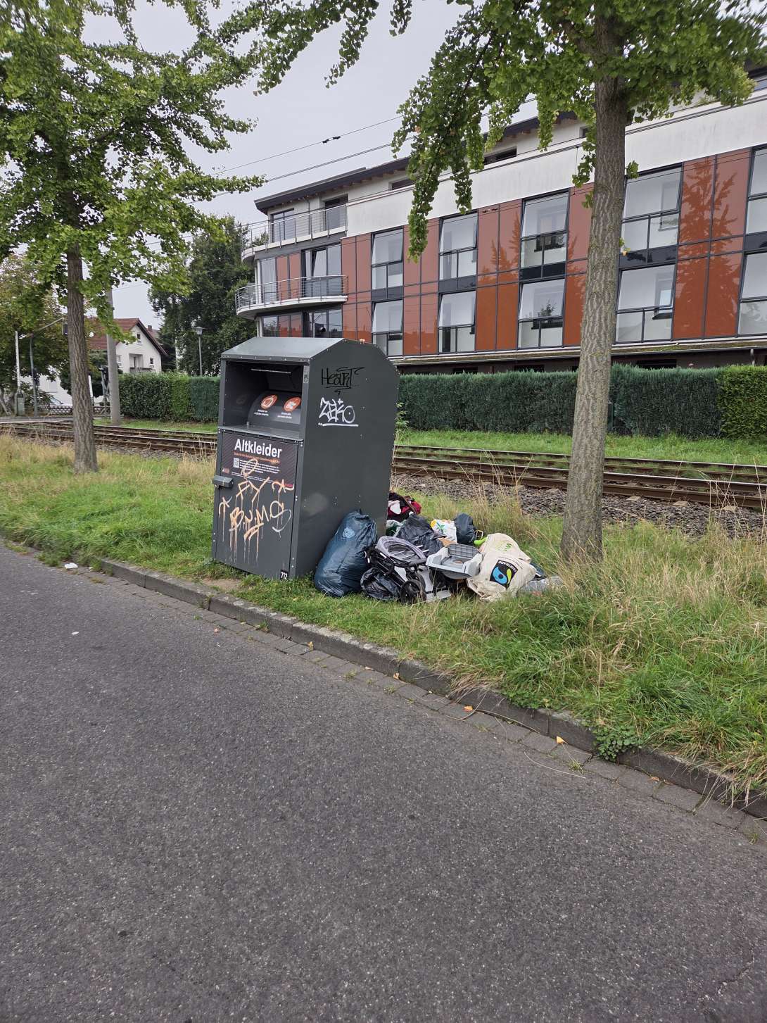 Bild zu gemeldetem Anliegen vom *2025-09-30 08:12:33