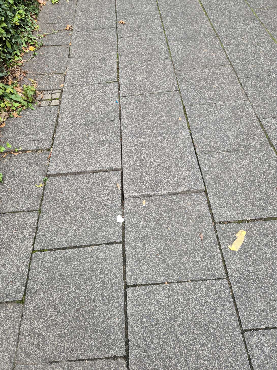 Bild zu gemeldetem Anliegen vom *2025-09-04 15:27:54
