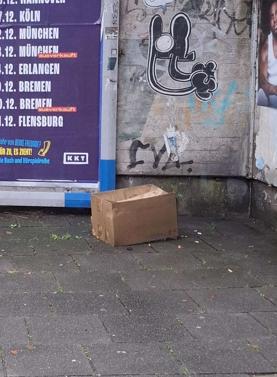 Bild zu gemeldetem Anliegen vom *2025-09-01 08:26:31