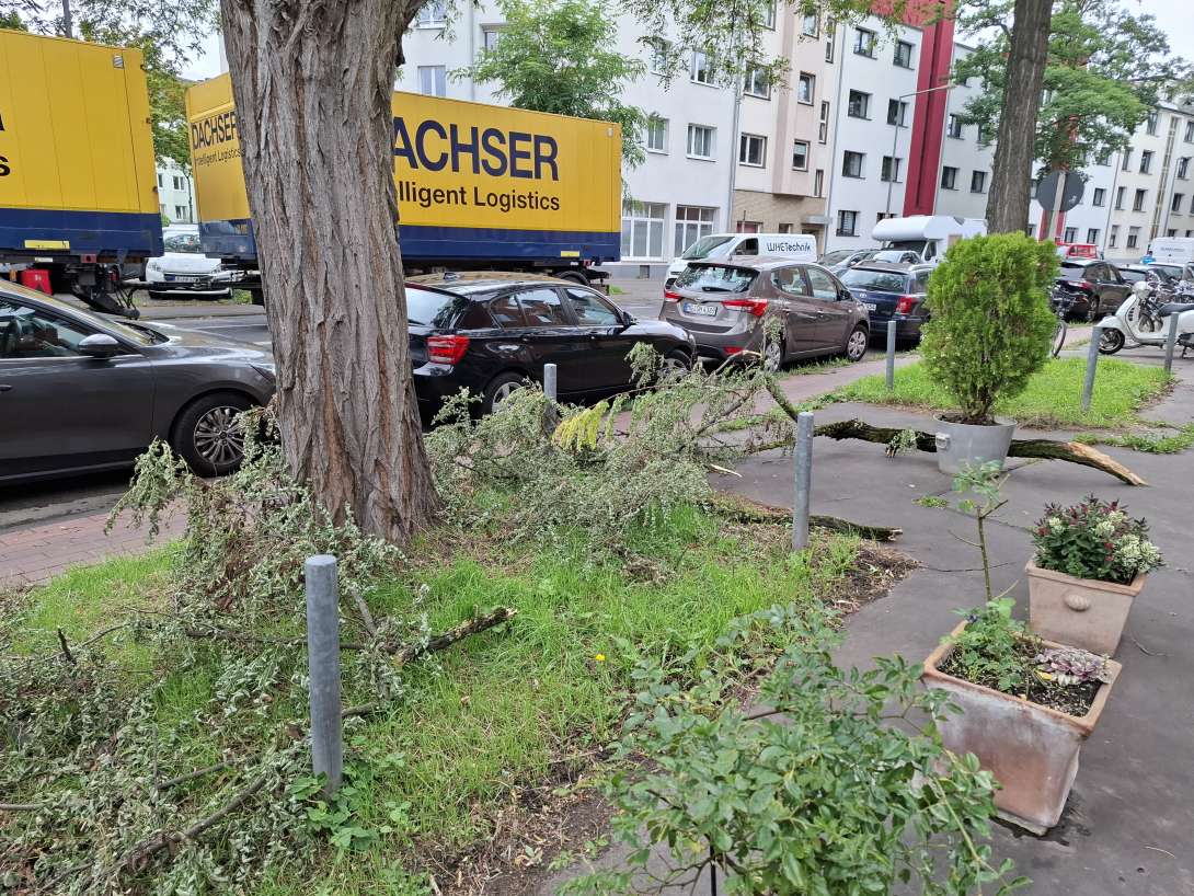 Bild zu gemeldetem Anliegen vom *2025-09-17 15:30:54