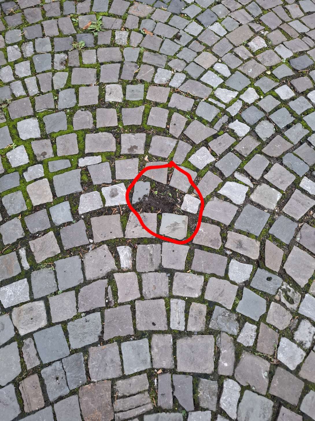 Bild zu gemeldetem Anliegen vom *2025-09-25 09:56:52
