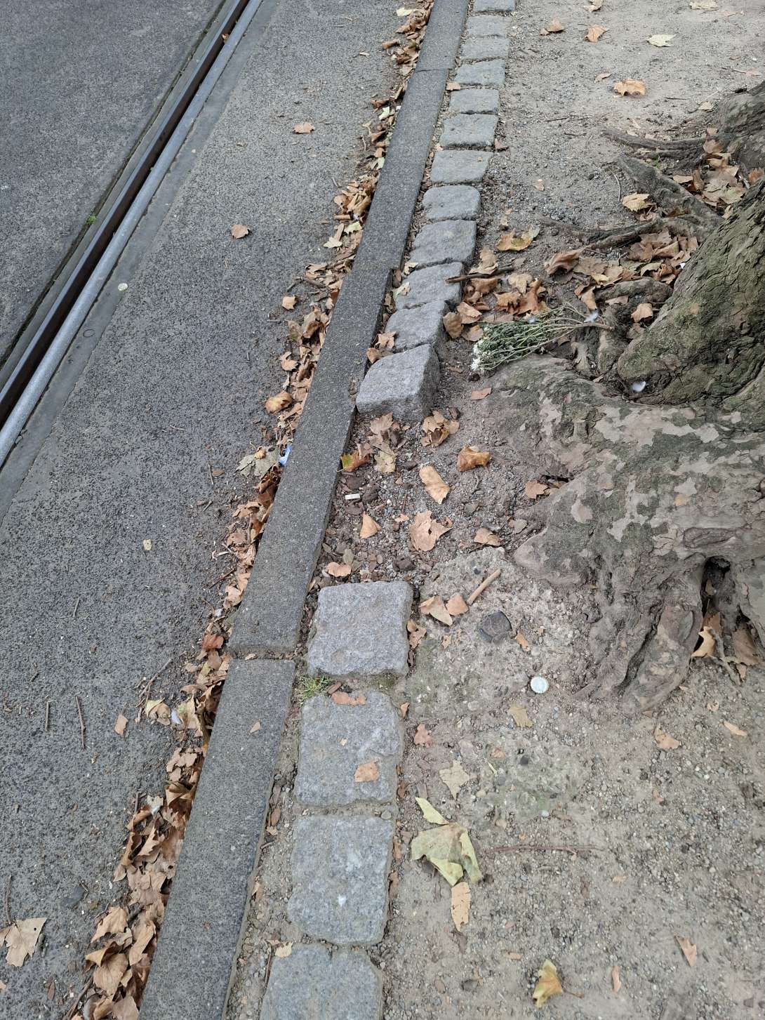 Bild zu gemeldetem Anliegen vom *2025-09-30 13:39:52