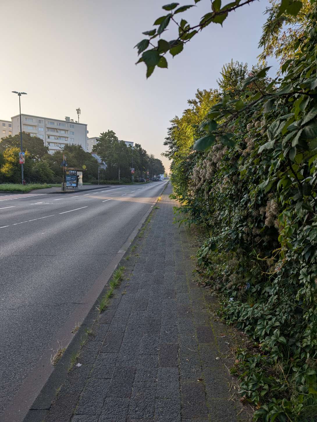 Bild zu gemeldetem Anliegen vom *2025-09-19 12:14:08