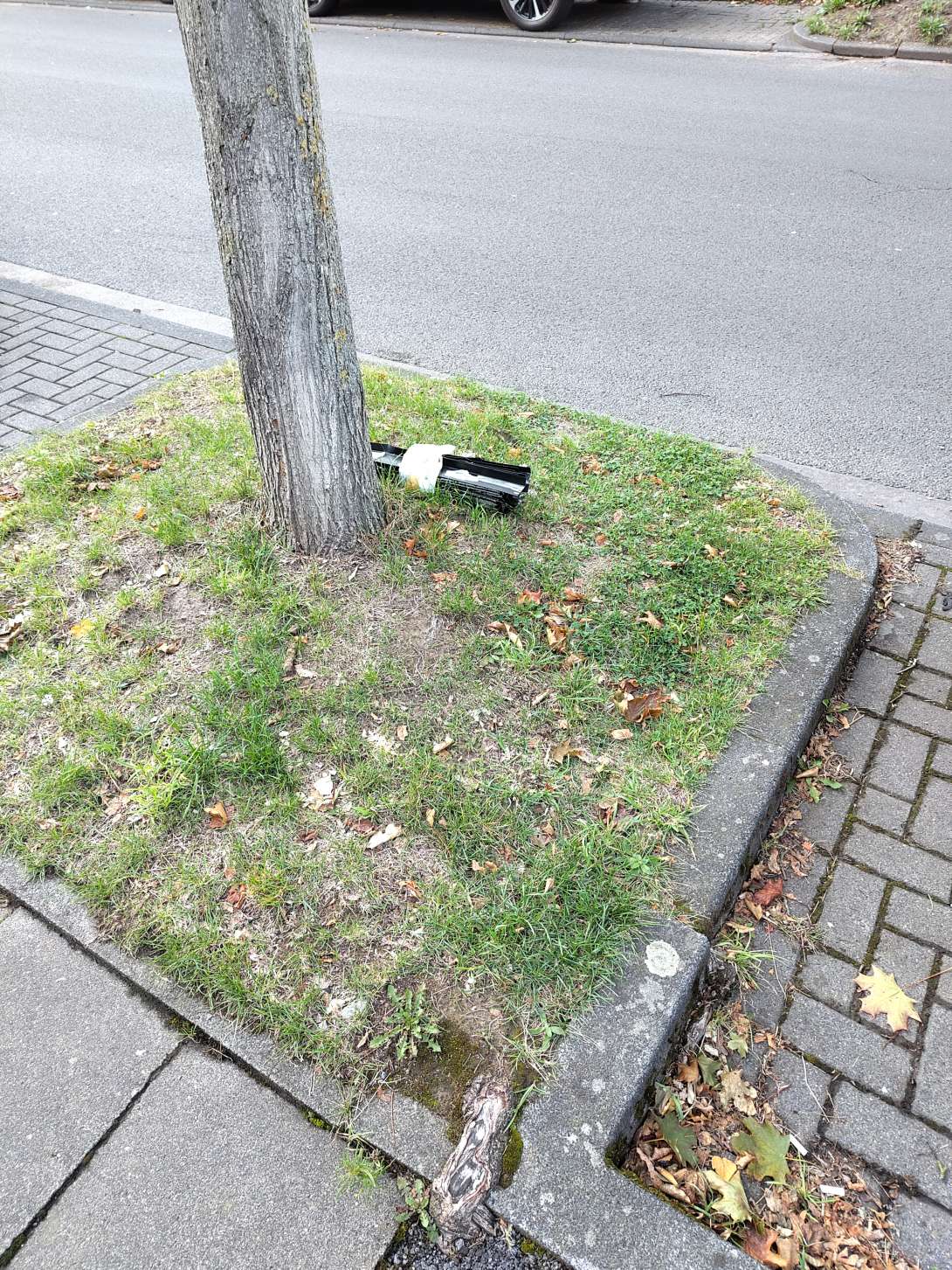 Bild zu gemeldetem Anliegen vom *2025-09-08 19:37:56