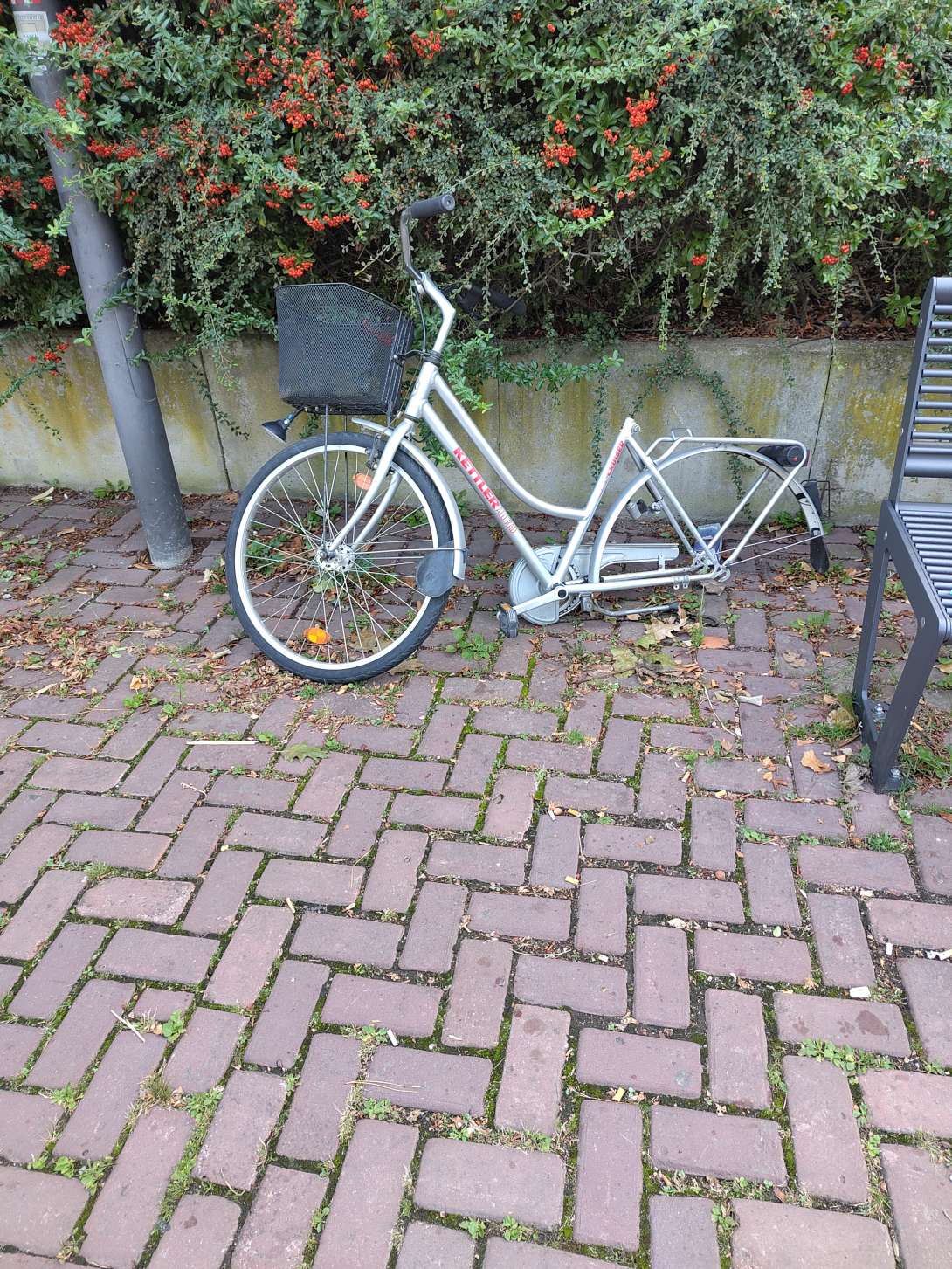 Bild zu gemeldetem Anliegen vom *2025-09-08 19:18:23
