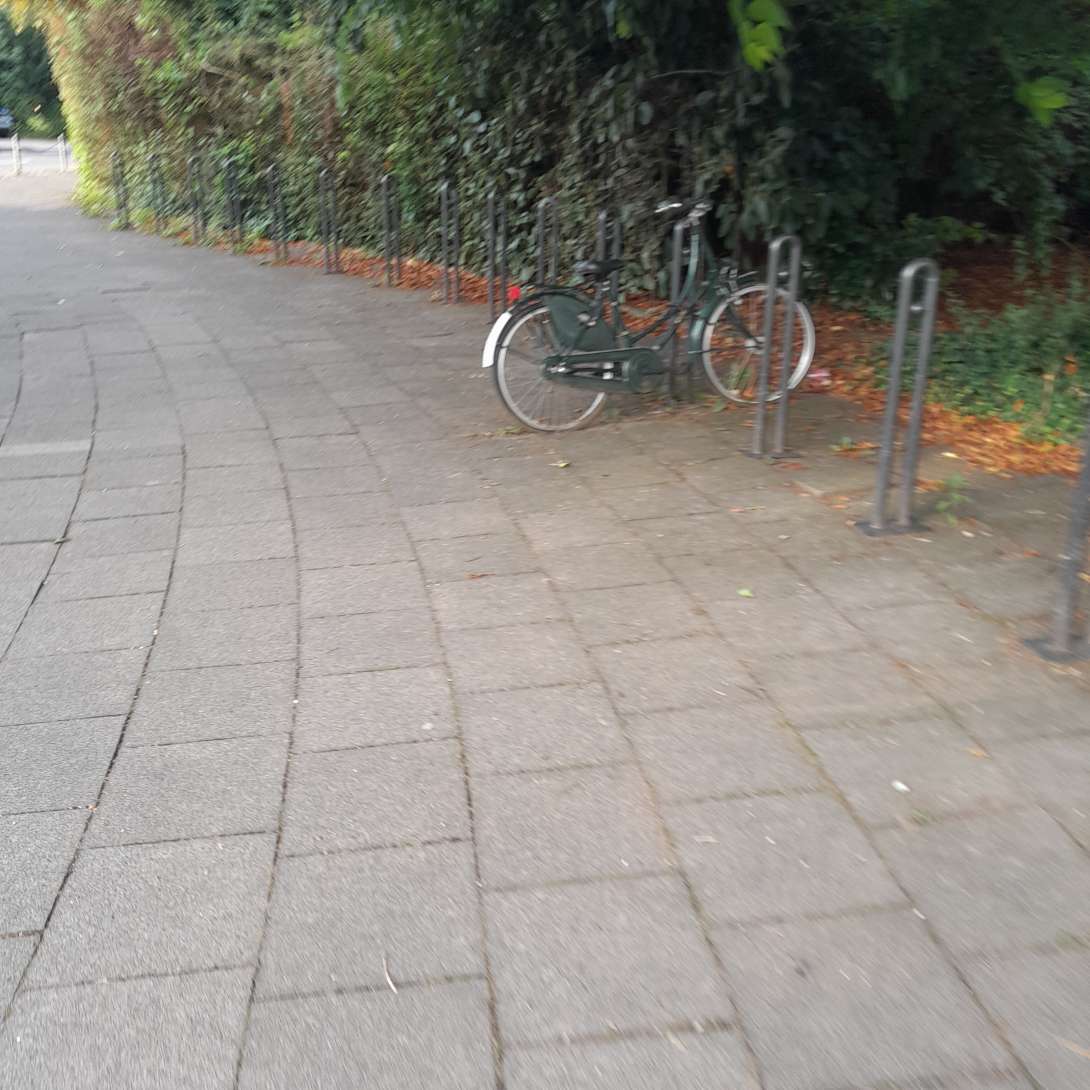 Bild zu gemeldetem Anliegen vom *2025-09-03 06:35:21