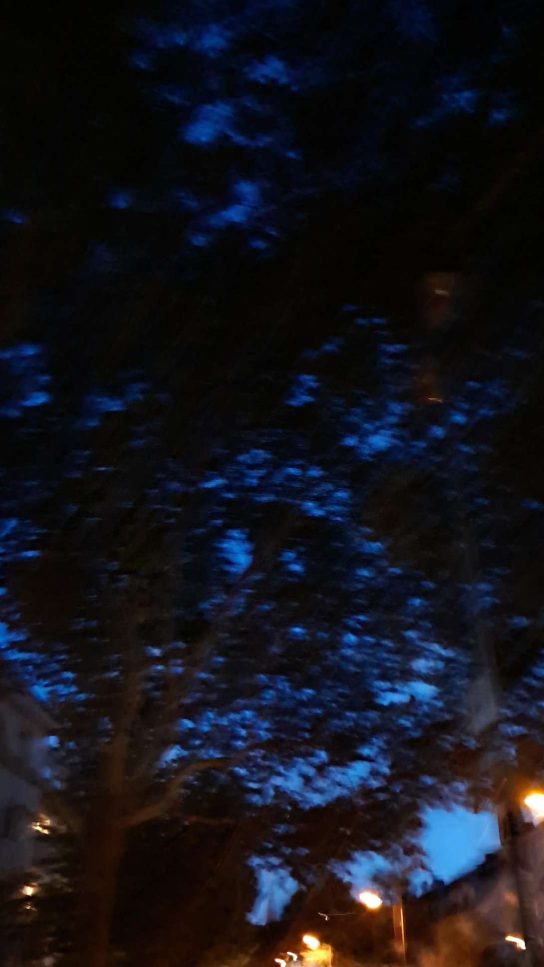 Bild zu gemeldetem Anliegen vom *2025-09-27 18:33:56