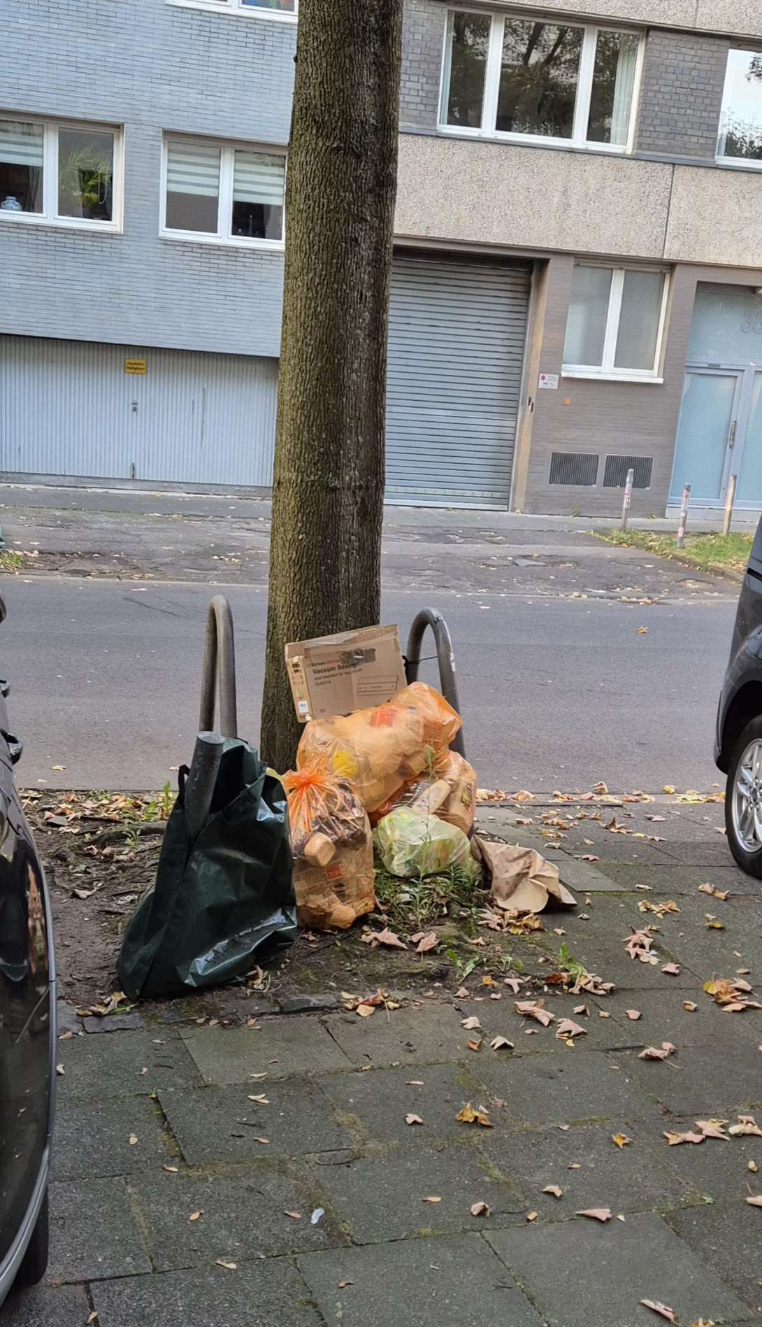 Bild zu gemeldetem Anliegen vom *2025-09-28 18:36:59