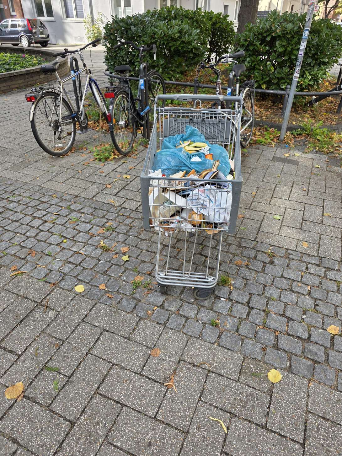 Bild zu gemeldetem Anliegen vom *2025-09-15 19:27:55