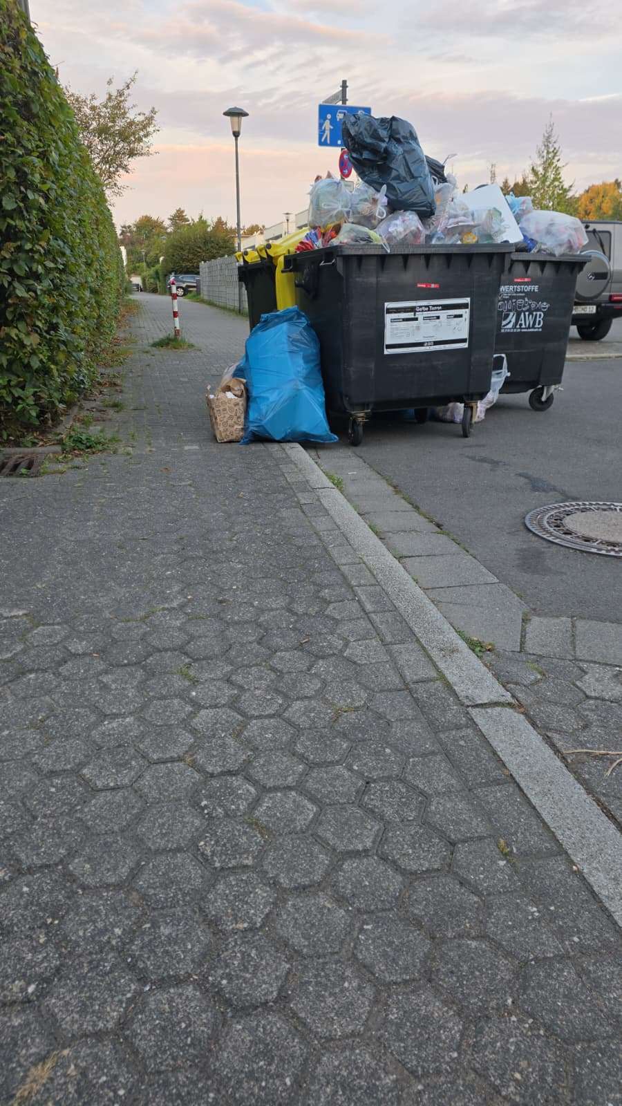 Bild zu gemeldetem Anliegen vom *2025-09-22 12:10:51