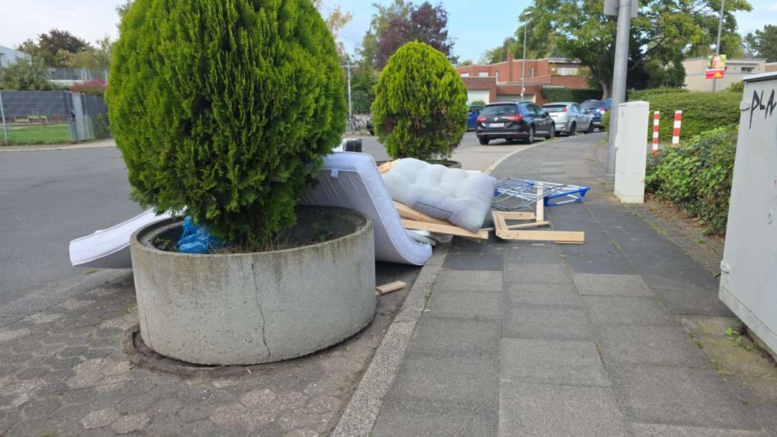 Bild zu gemeldetem Anliegen vom *2025-09-22 12:04:46