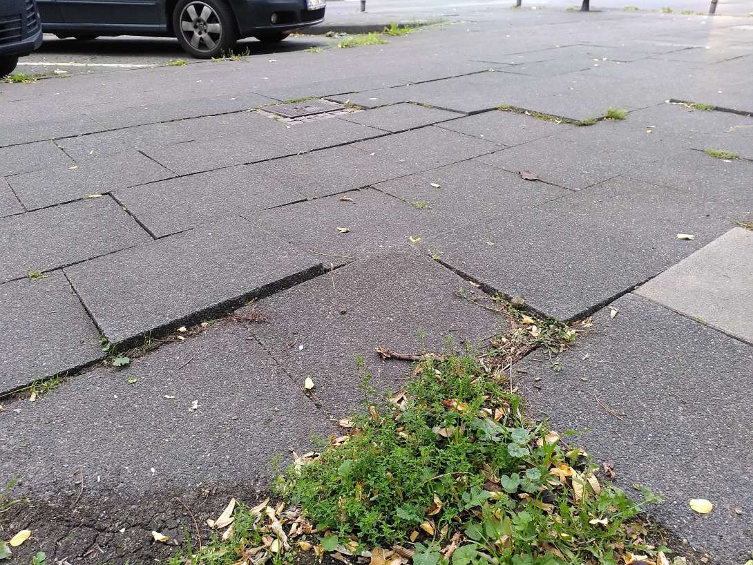 Bild zu gemeldetem Anliegen vom *2025-09-17 19:02:22