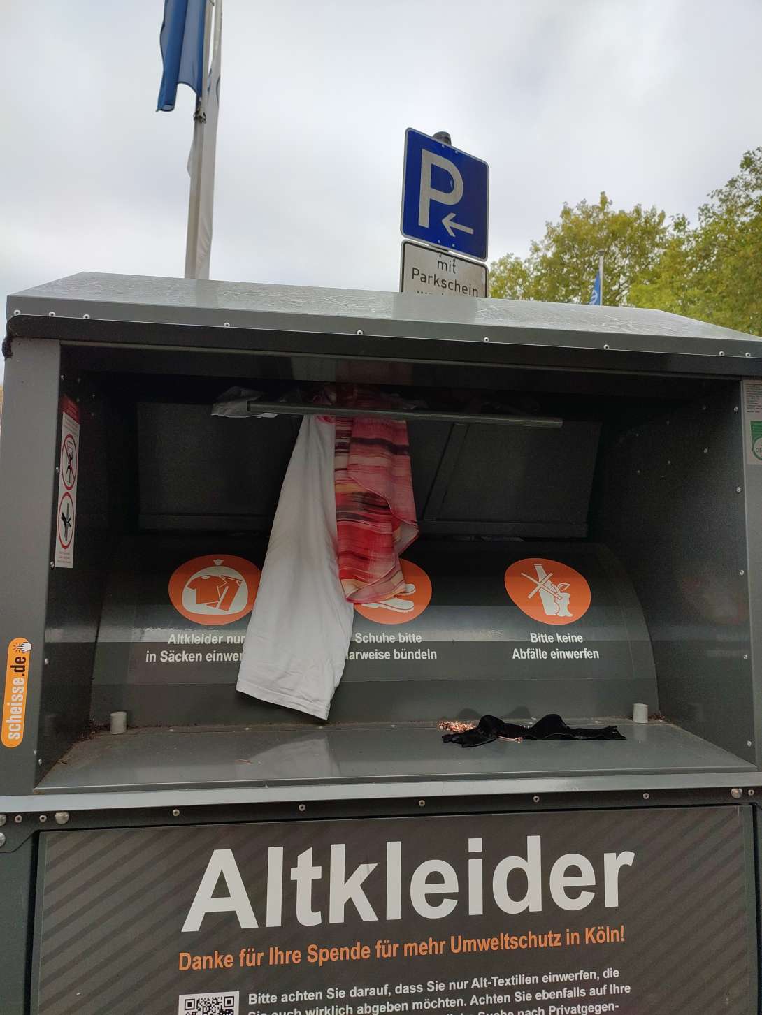 Bild zu gemeldetem Anliegen vom *2025-09-28 12:31:36