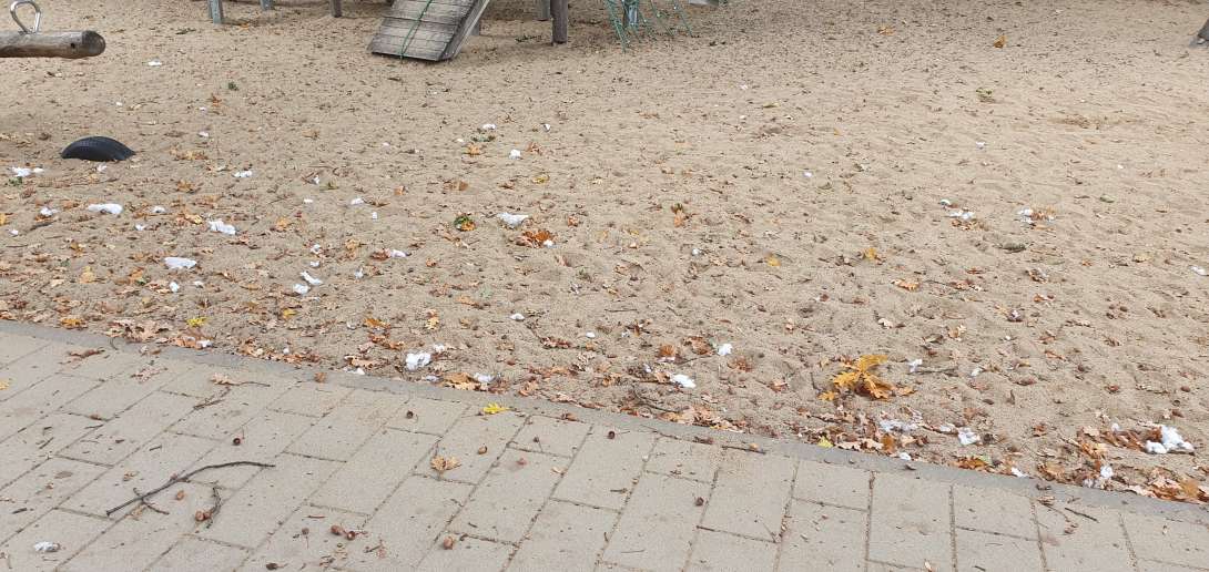 Bild zu gemeldetem Anliegen vom *2025-09-23 13:22:51