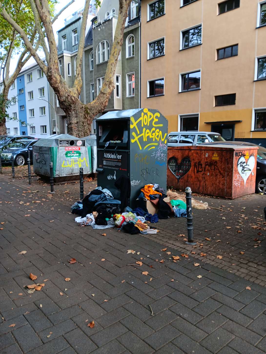 Bild zu gemeldetem Anliegen vom *2025-09-28 09:30:45