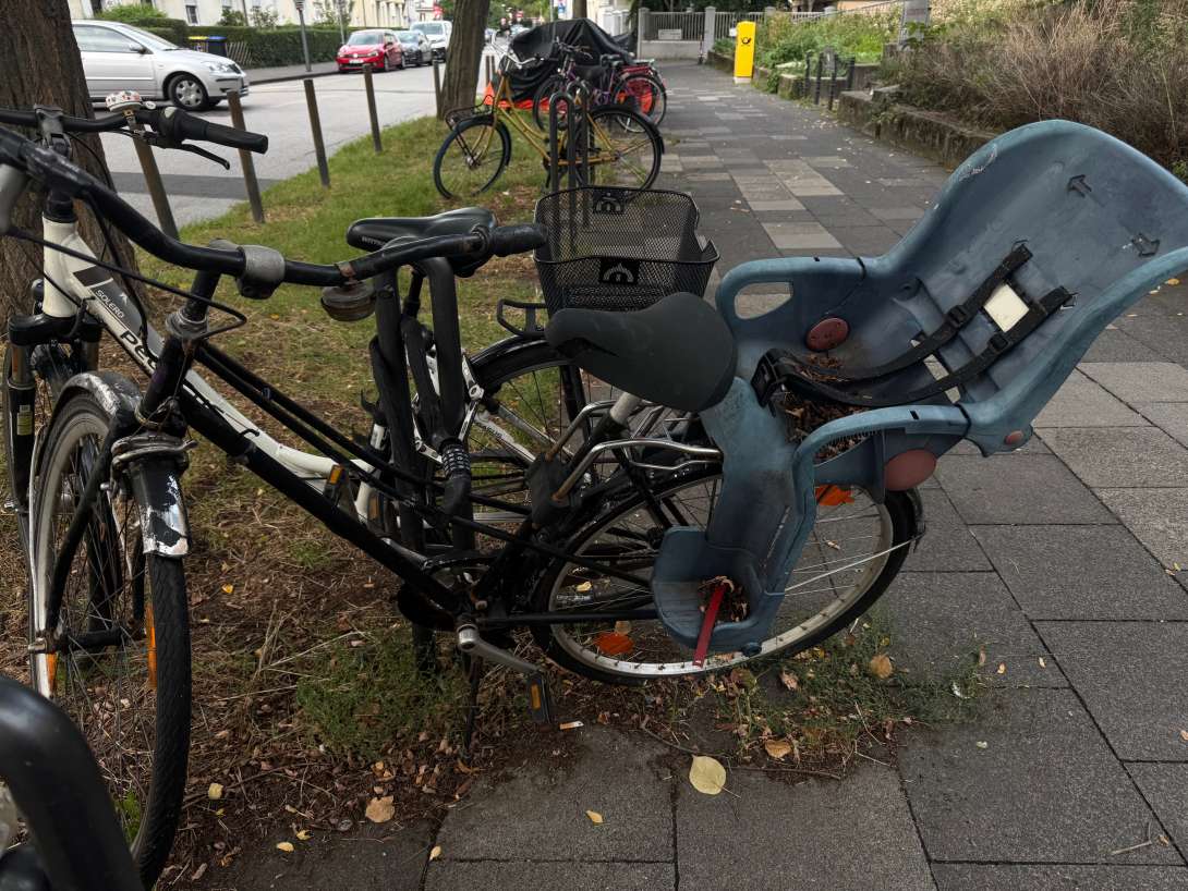 Bild zu gemeldetem Anliegen vom *2025-09-03 17:38:14