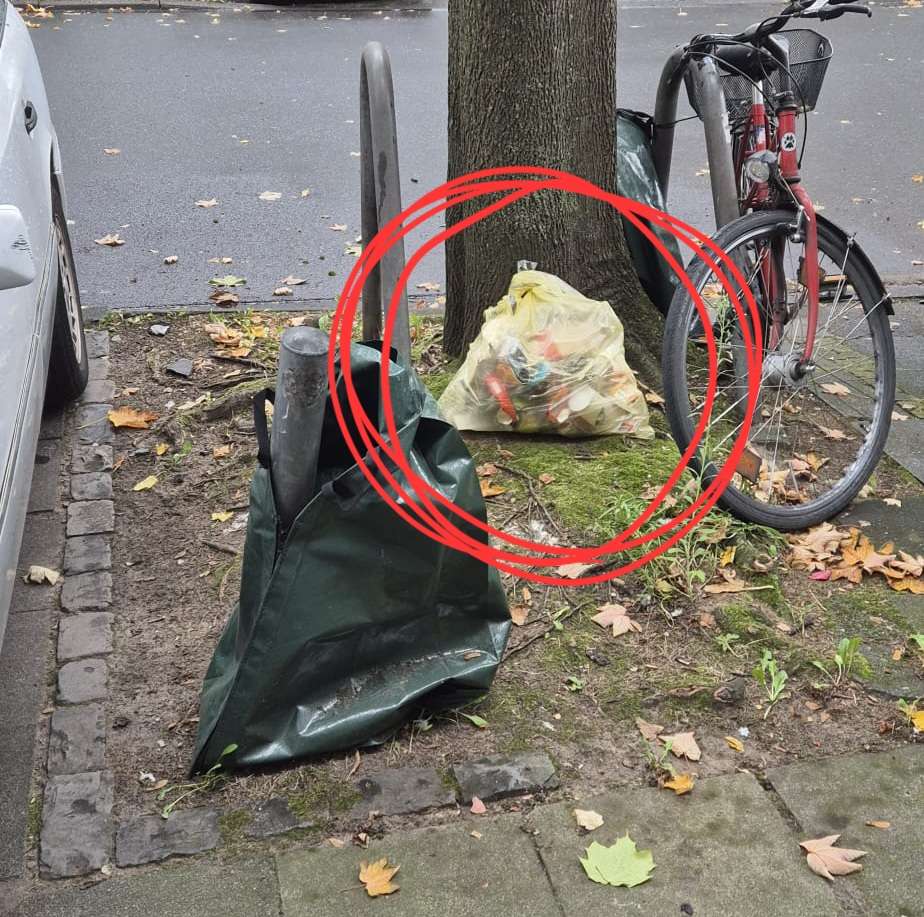 Bild zu gemeldetem Anliegen vom *2025-09-22 12:47:24