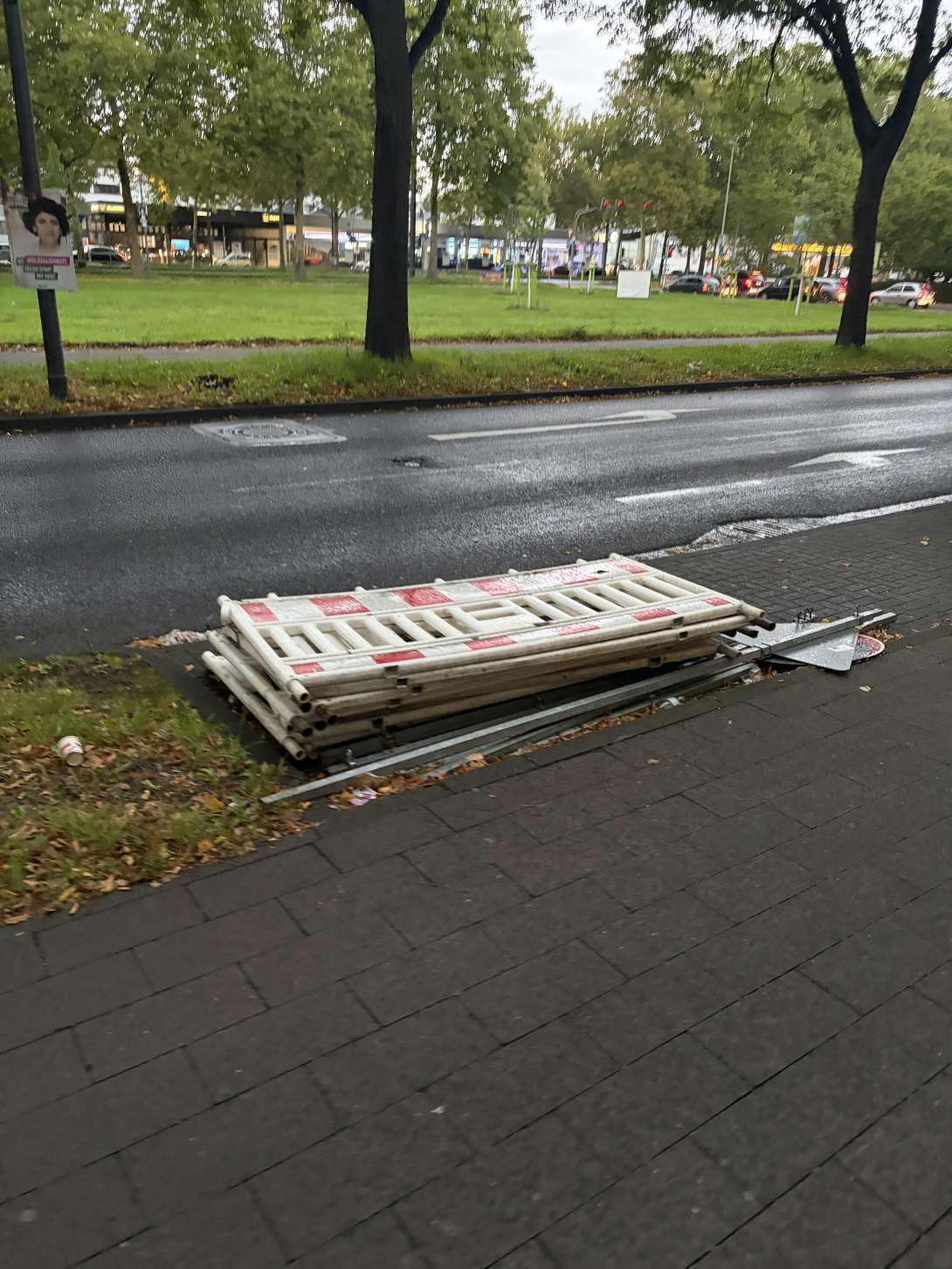 Bild zu gemeldetem Anliegen vom *2025-09-22 07:20:16