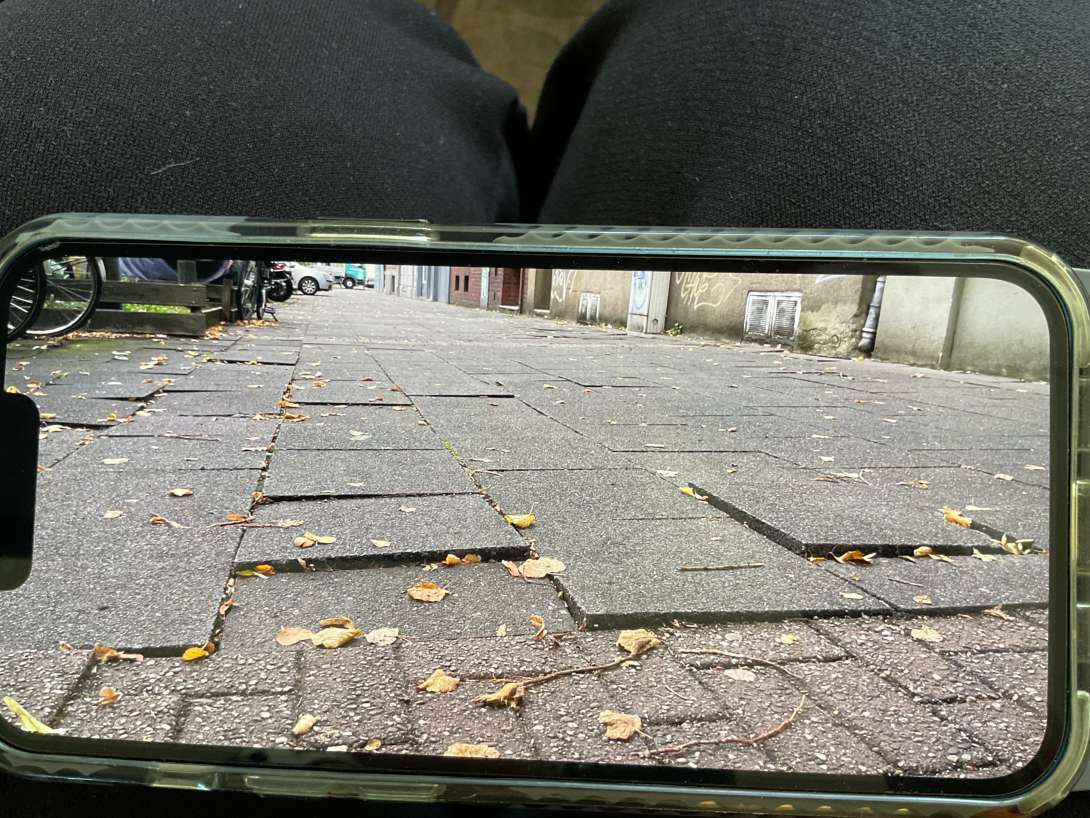 Bild zu gemeldetem Anliegen vom *2025-09-26 12:33:16