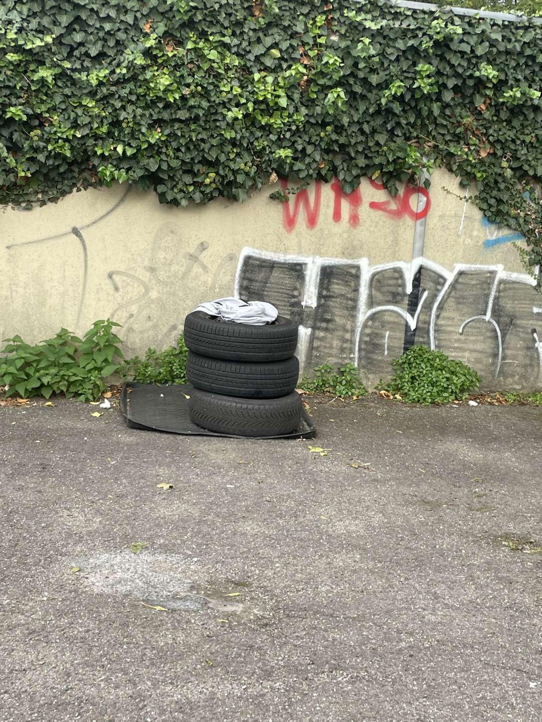Bild zu gemeldetem Anliegen vom *2025-09-23 08:48:17
