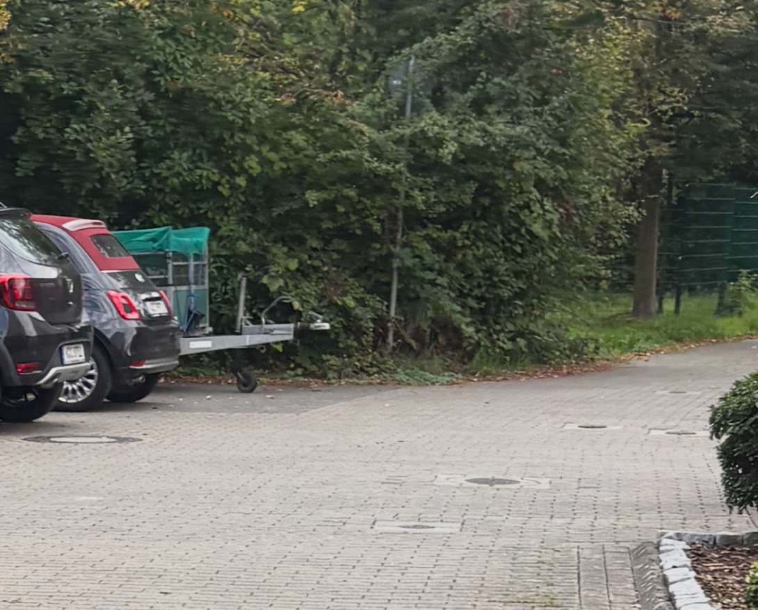 Bild zu gemeldetem Anliegen vom *2025-09-21 11:40:21