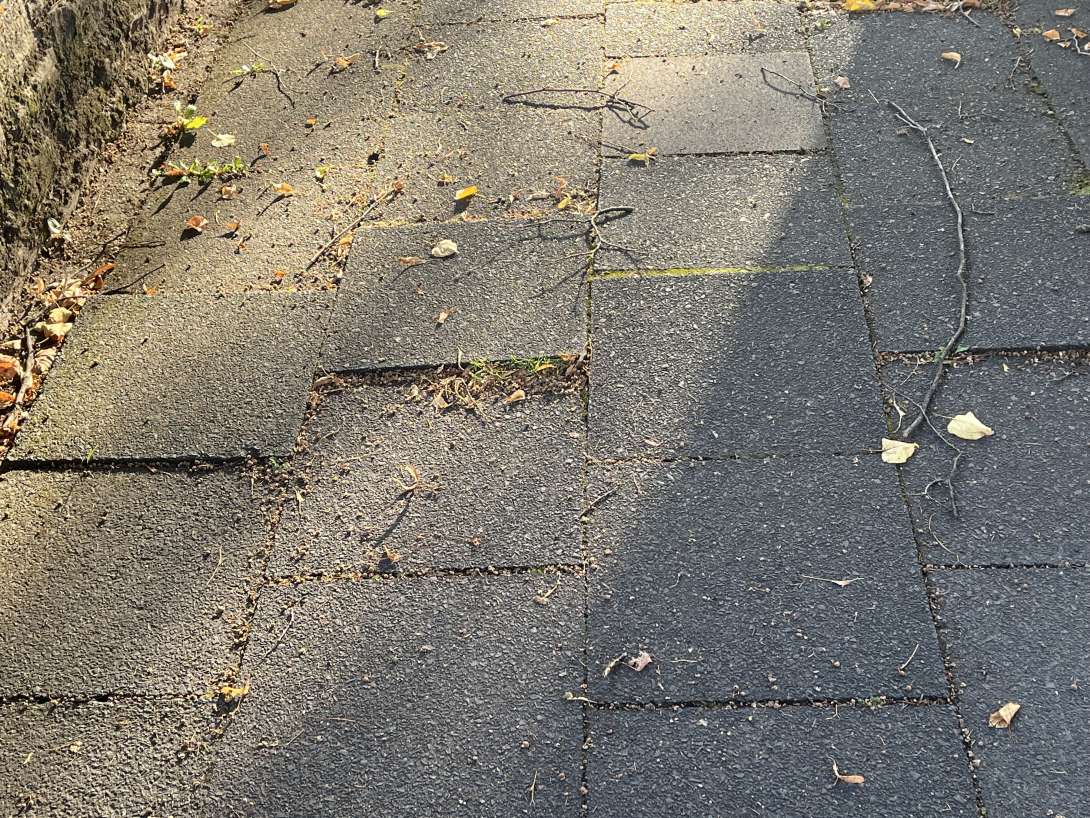 Bild zu gemeldetem Anliegen vom *2025-09-15 12:56:55