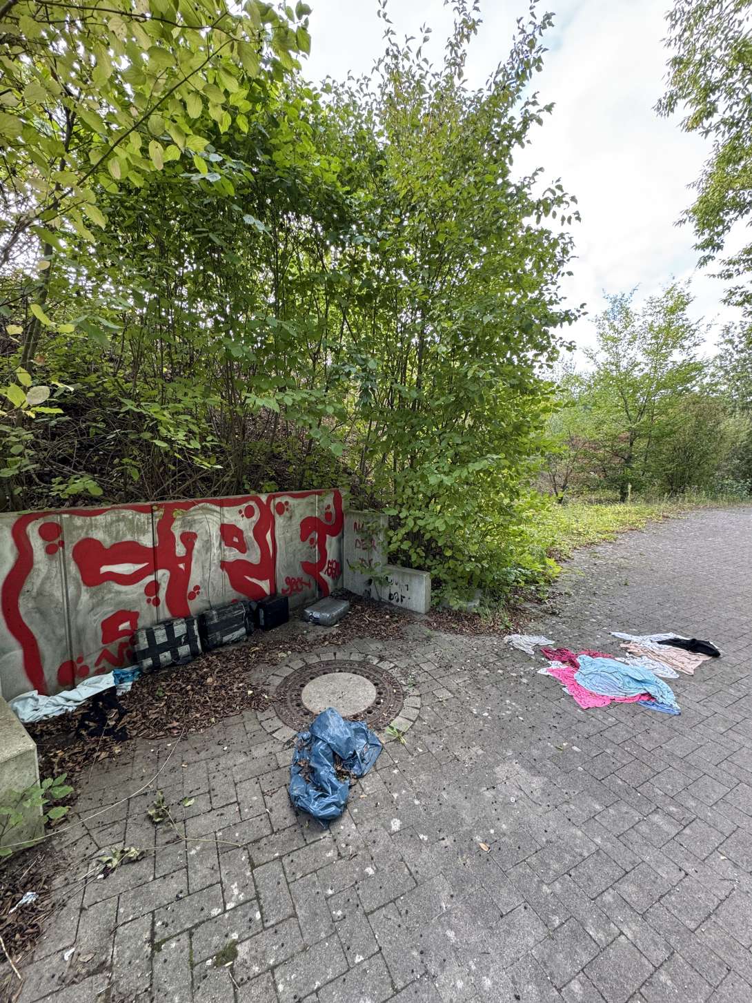 Bild zu gemeldetem Anliegen vom *2025-09-17 08:22:32
