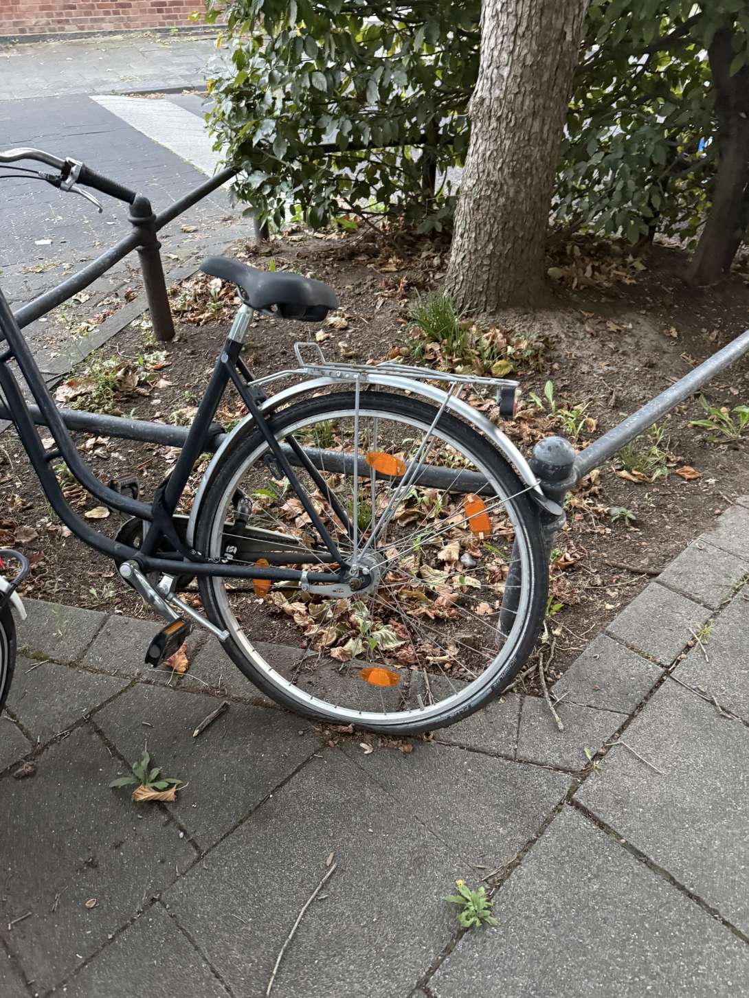 Bild zu gemeldetem Anliegen vom *2025-09-27 19:19:43