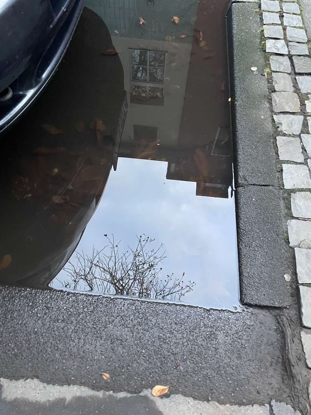 Bild zu gemeldetem Anliegen vom *2025-09-09 19:59:27