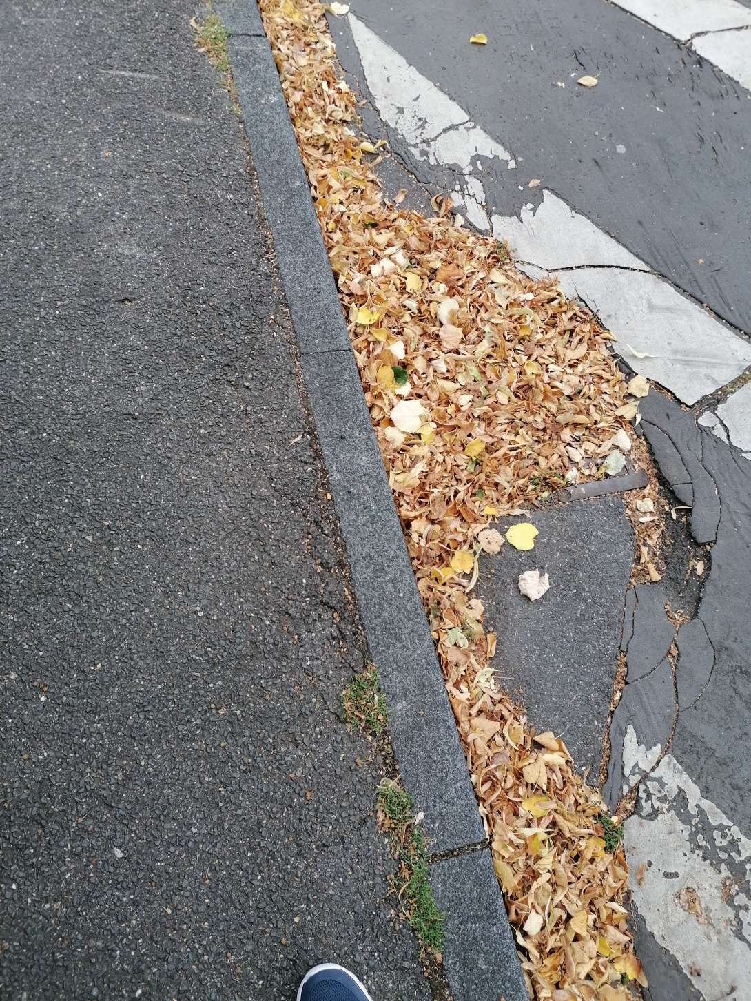 Bild zu gemeldetem Anliegen vom *2025-09-04 07:23:33