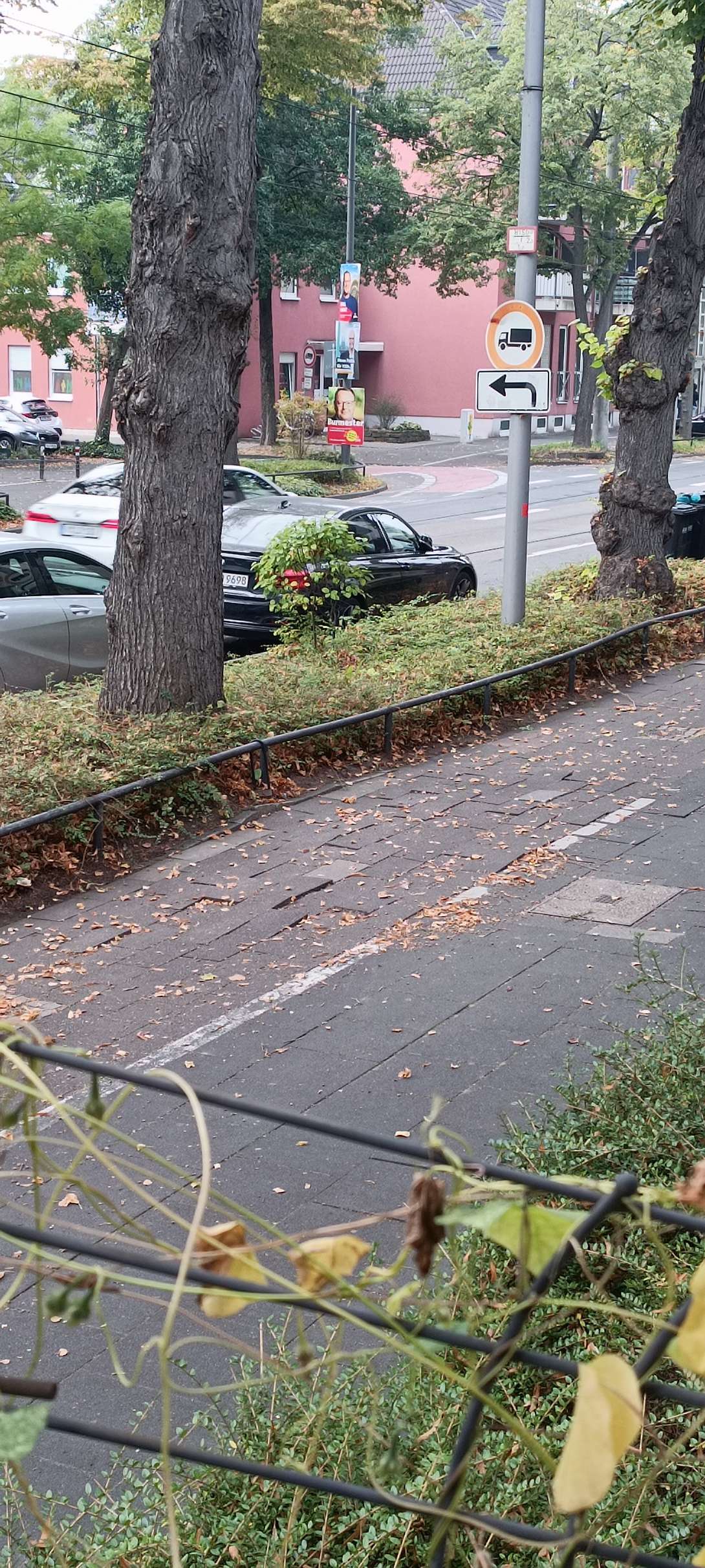Bild zu gemeldetem Anliegen vom *2025-09-29 14:08:22